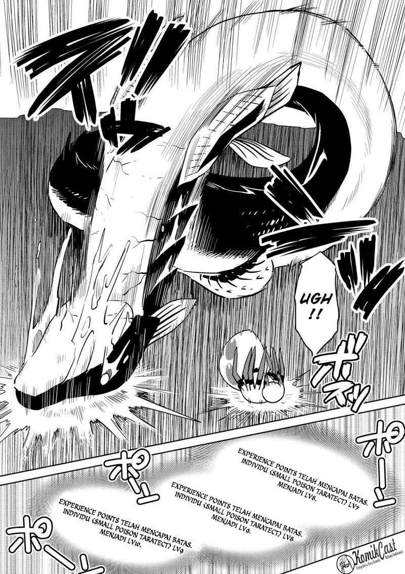 Kumo desu ga, Nani Ka?